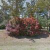 Mobile Home for Sale: 1994 Mobile Home