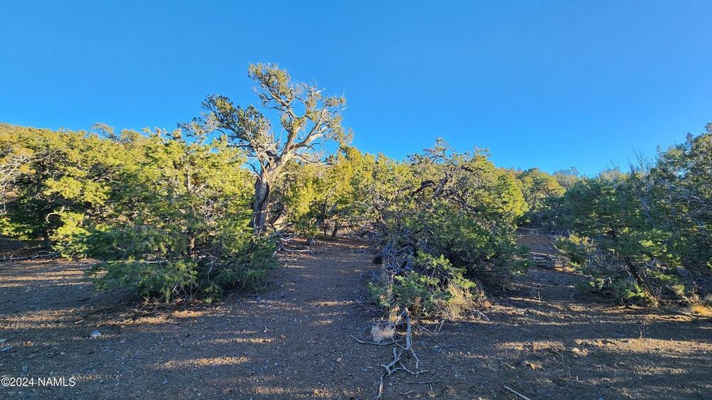 Photo of Mobile Home Lot