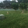 Photo of RV Park/Campground