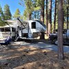 RV for Sale: 2020 COUGAR HALF-TON 29MBS