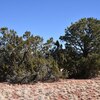 Photo of Mobile Home Lot