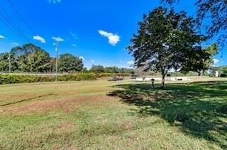 Photo of Mobile Home Lot