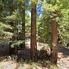 Mobile Home for Sale: Mobile Home