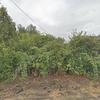 Mobile Home for Sale: Mobile Home