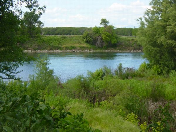 Sacramento River
