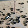 Photo of Mobile Home Lot