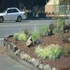 Photo of Mobile Home Park