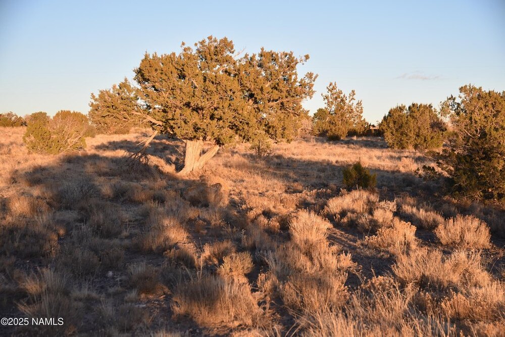 Photo of Mobile Home Lot