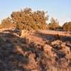 Photo of Mobile Home Lot
