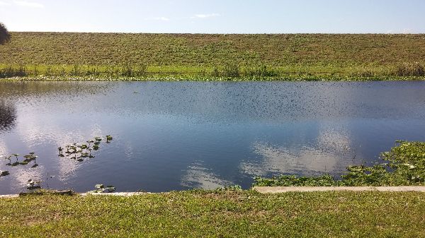 Photo of RV Park/Campground