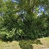 Mobile Home for Sale: 3 Bed 2 Bath 1997 Mobile Home