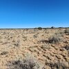 Photo of Mobile Home Lot