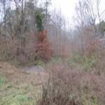 Photo of Mobile Home Lot