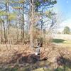Mobile Home for Sale: Mobile Home