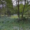 Mobile Home for Sale: 3 Bed 2 Bath 1980 Mobile Home