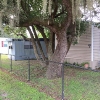 Mobile Home Park for Sale: MHP 6 Mobiles,1 SFH, 4 Extra Pads-11 Possible, Winter Haven, FL