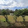 Mobile Home for Sale: 3 Bed 2 Bath 1996 Mobile Home