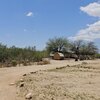Photo of Mobile Home Lot