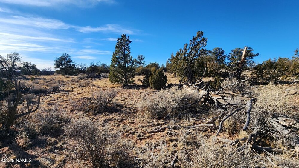 Photo of Mobile Home Lot