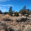 Photo of Mobile Home Lot
