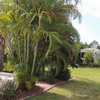 Photo of RV Lot