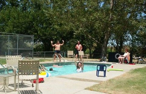 pool in summer