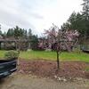 Mobile Home for Sale: 3 Bed 2 Bath 1980 Mobile Home