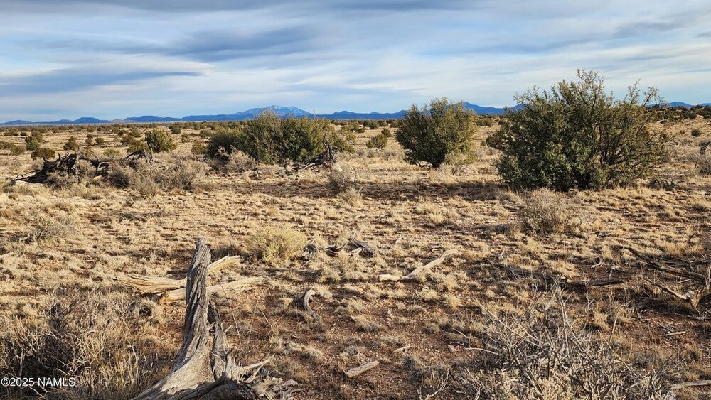 Photo of Mobile Home Lot