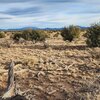 Photo of Mobile Home Lot
