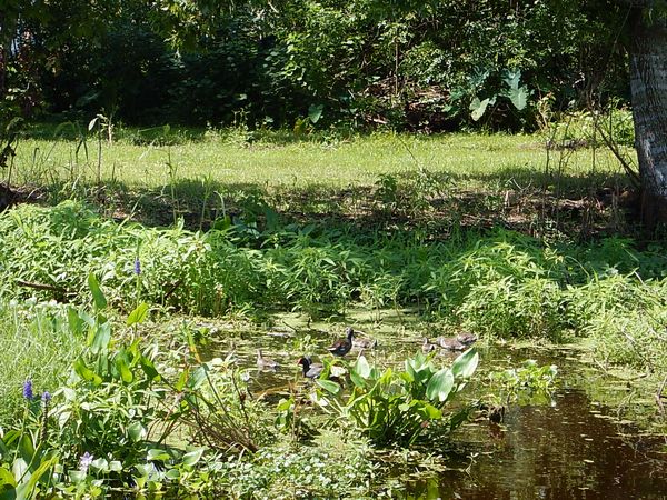 Photo of Mobile Home Park