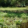Photo of Mobile Home Park