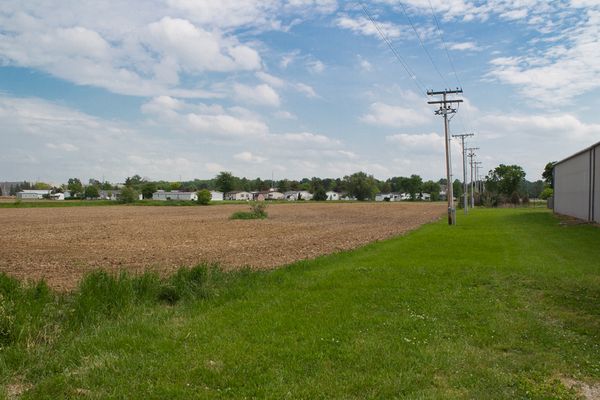 Photo from NW boundary looking South