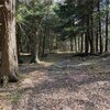 Photo of Mobile Home Lot