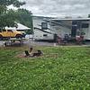 RV for Sale: 2012 GREYHAWK 31 DS