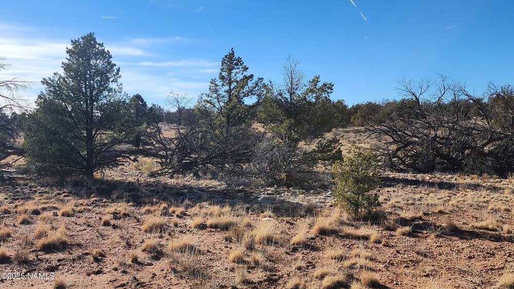 Photo of Mobile Home Lot