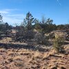 Photo of Mobile Home Lot