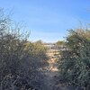 Photo of Mobile Home Lot