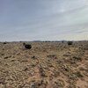 Mobile Home Lot for Sale: Residential/Mobile - Williams, AZ, Williams, AZ