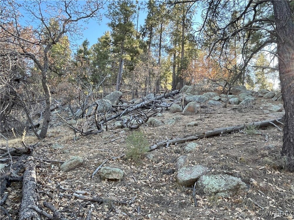 Photo of Mobile Home Lot