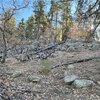 Photo of Mobile Home Lot