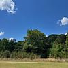 Mobile Home Lot for Sale: JUST UNDER 2 ACRES! Mobile Home Lot with Secluded Feel!, Greenwood, SC