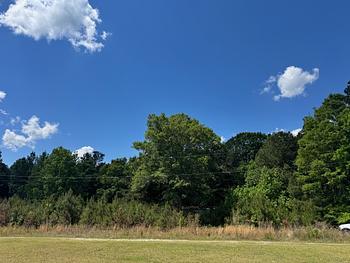 Photo of JUST UNDER 2 ACRES! Mobile Home Lot with Secluded Feel!