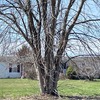 Mobile Home for Sale: 1999 Mobile Home