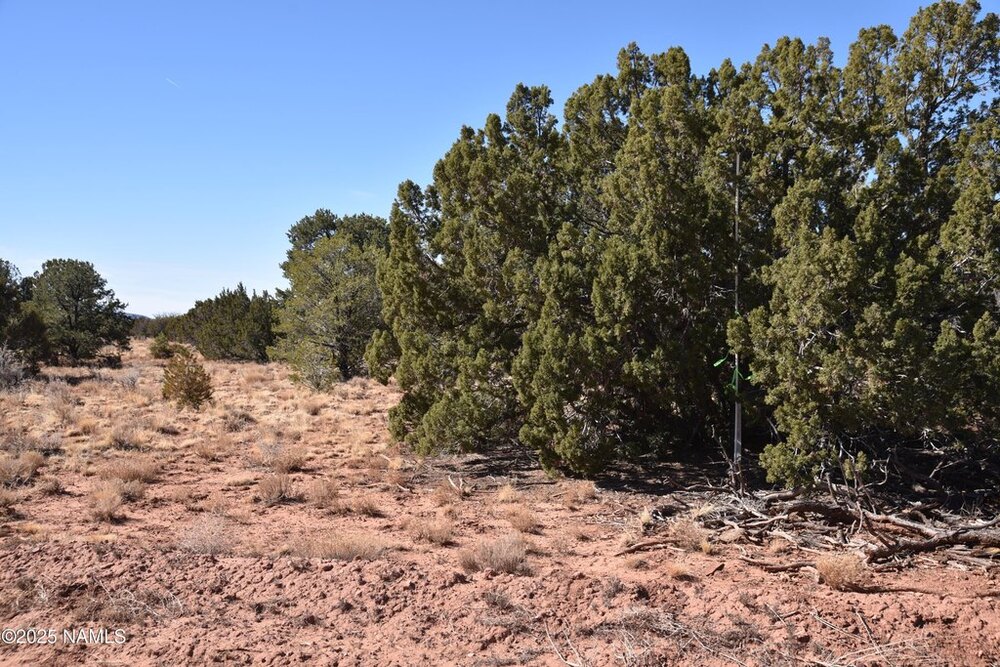 Photo of Mobile Home Lot