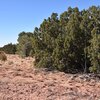 Photo of Mobile Home Lot