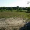 Mobile Home Lot for Sale: 2.00 acre Lot
