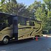 RV for Sale: 2014 BOUNDER 36E