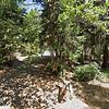 Mobile Home for Sale: 3 Bed 2 Bath 1978 Mobile Home