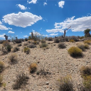 Thumbnail of mobile home lot