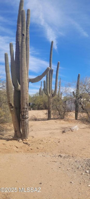 Photo of Mobile Home Lot